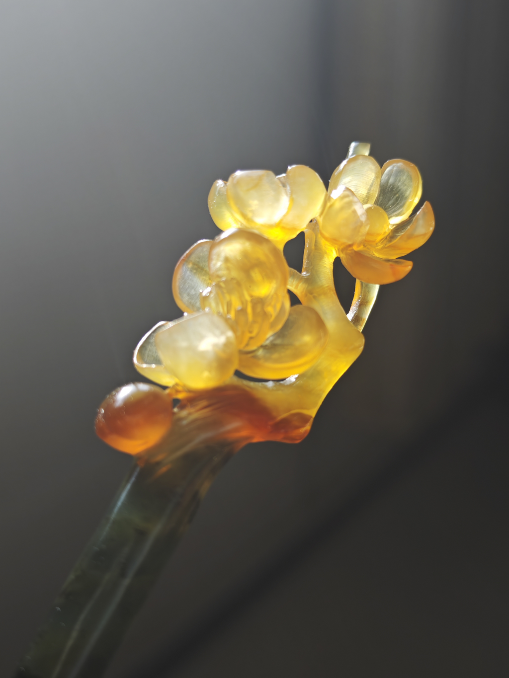Golden Plum in Bloom