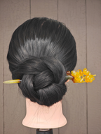 Golden Plum in Bloom
