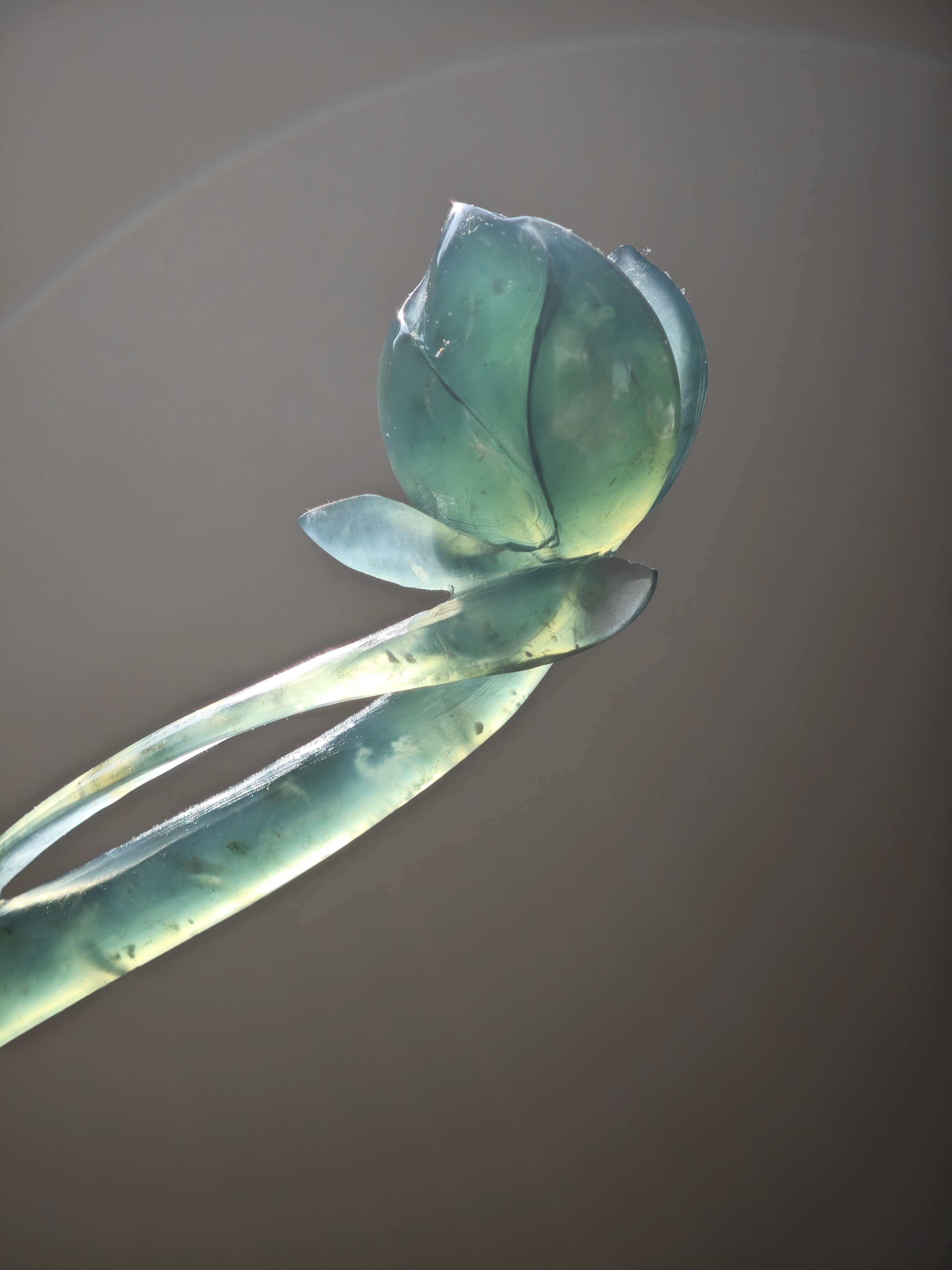 Verdant Lotus Bud