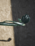 Verdant Lotus Bud