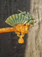 Verdant Fan & Jade Magnolia