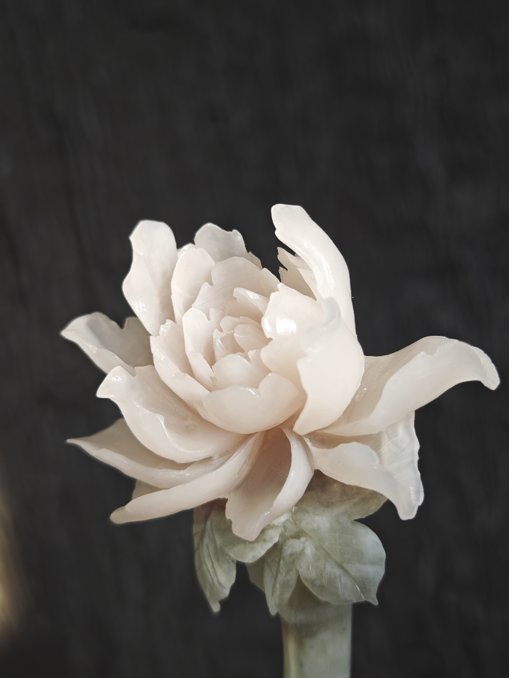 Jade Peony in Bloom