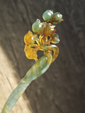 Emerald & Amber Bud Cluster Jade Hairpin