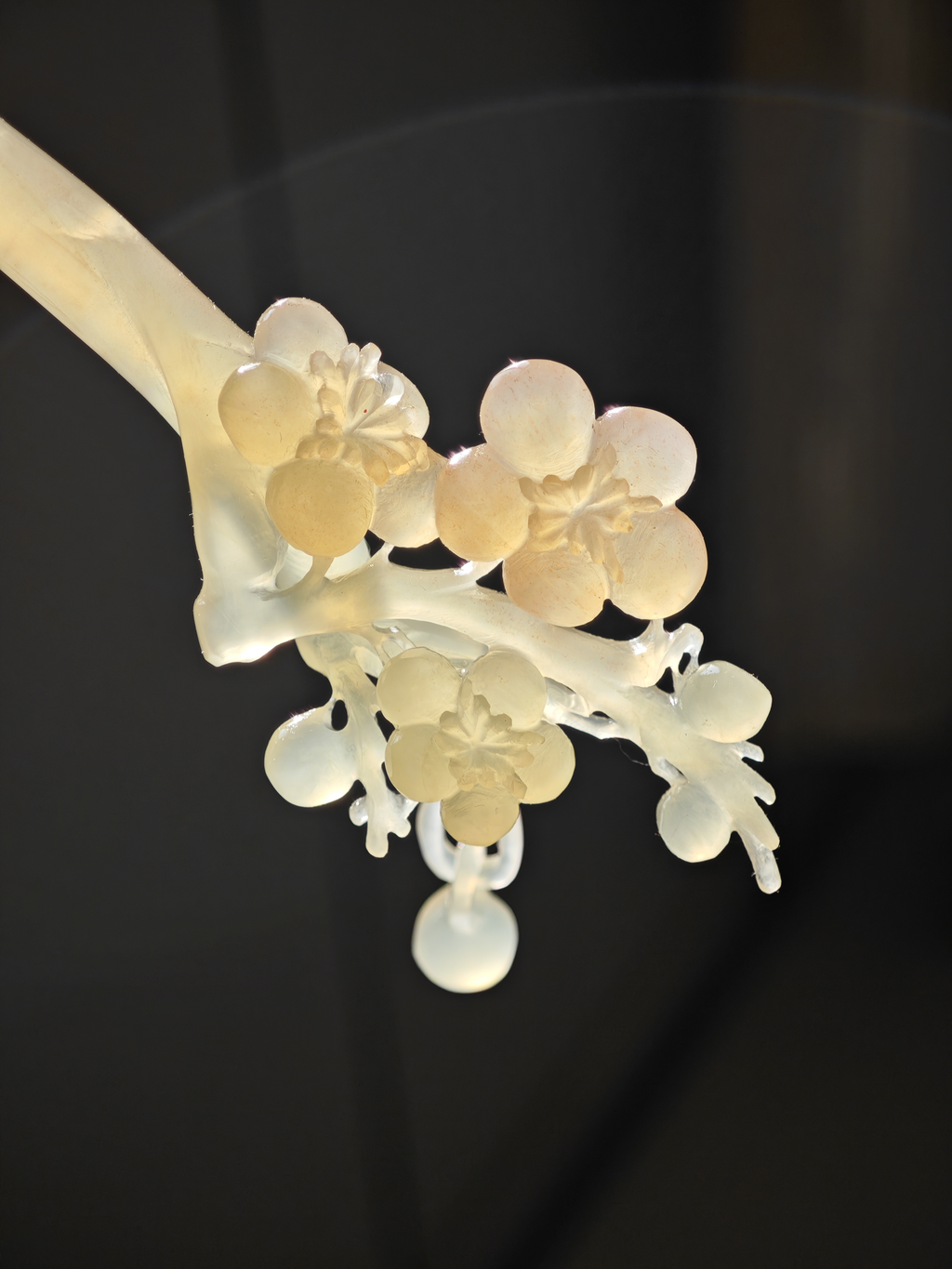 Jade Branch Plum Bloom