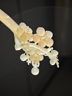 Jade Branch Plum Bloom
