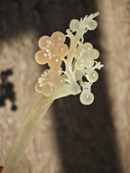 Jade Branch Plum Bloom
