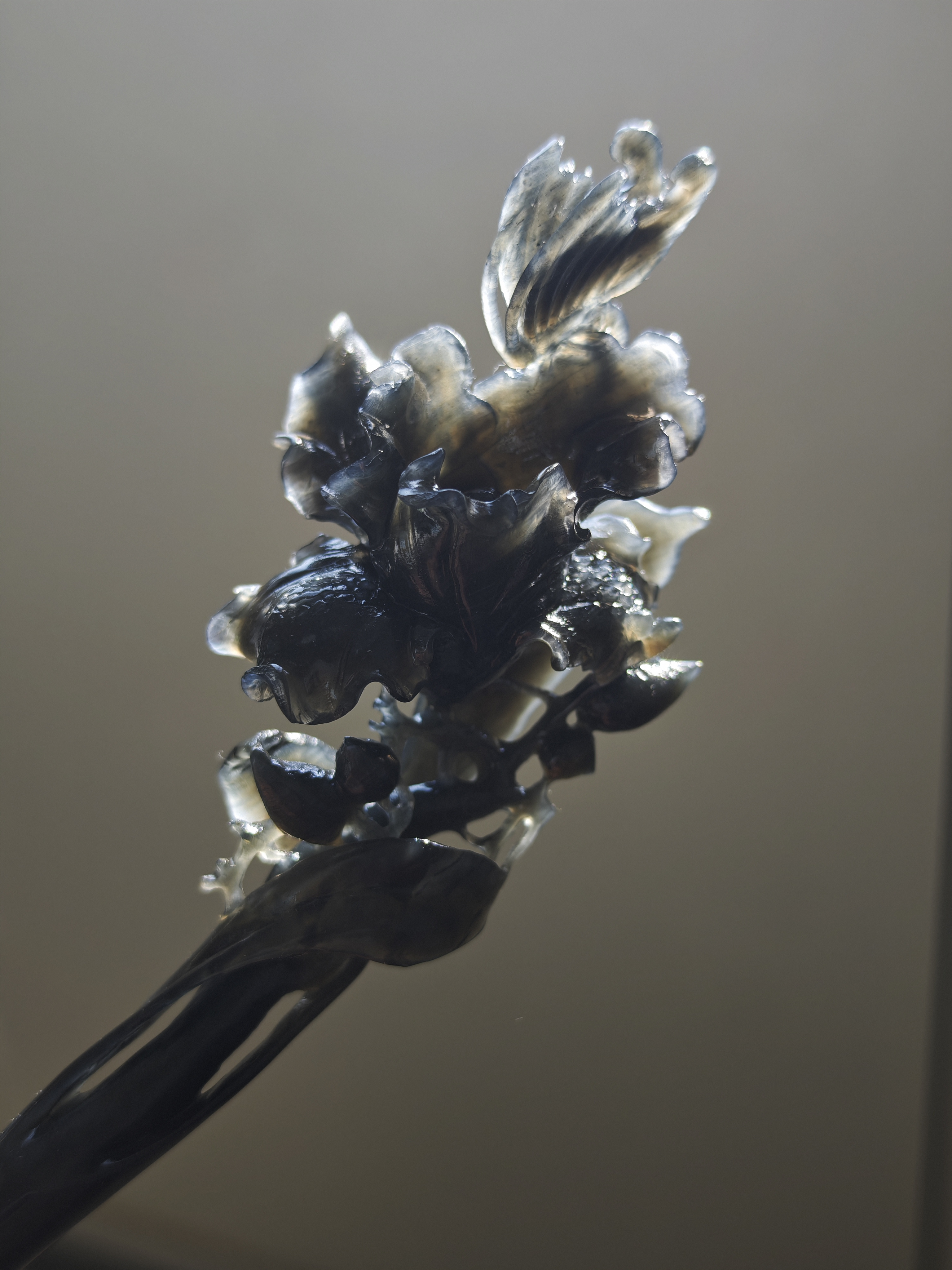 Ink Jade Iris Silhouette