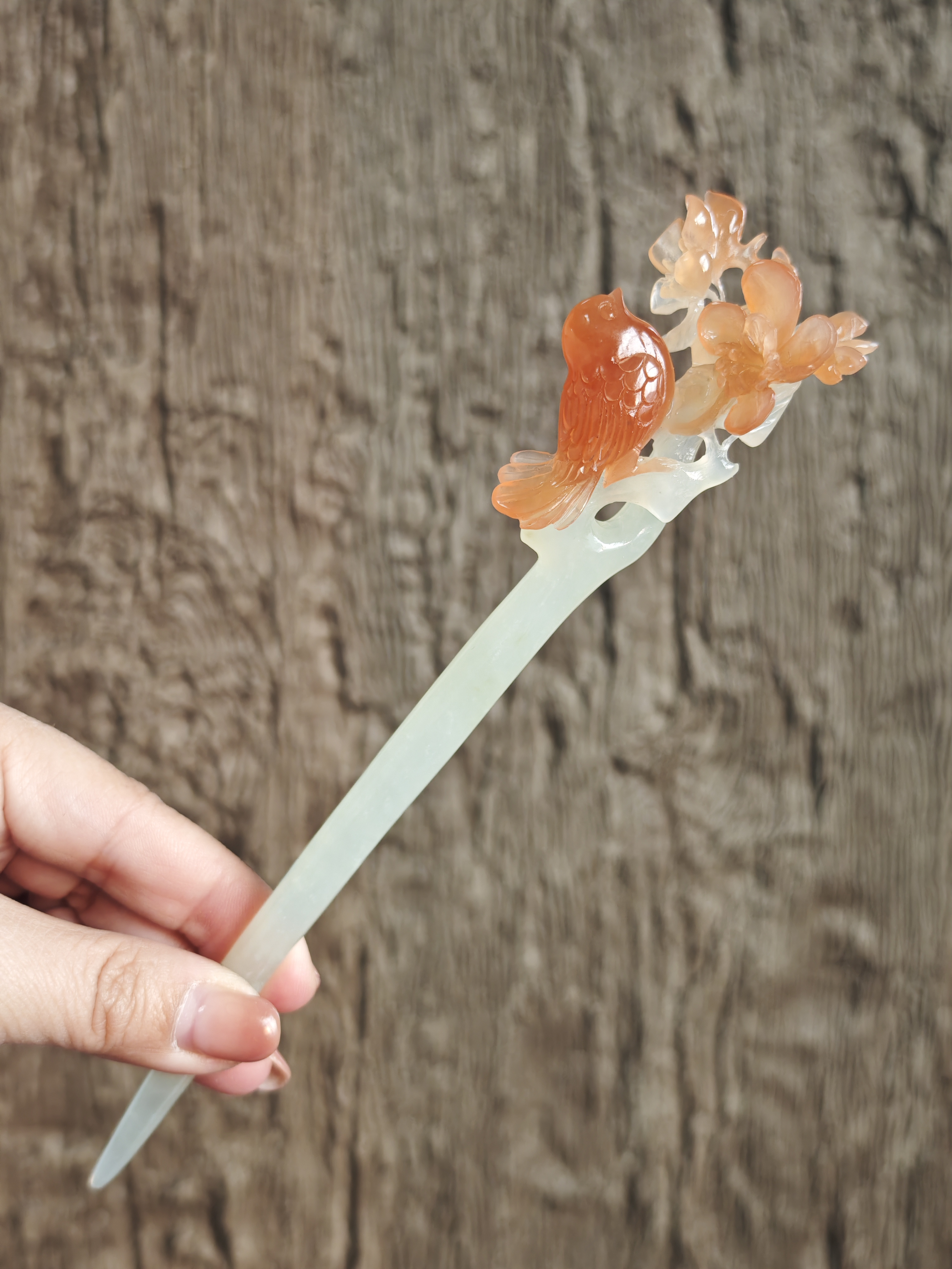 Crimson Finch on Blossom Bough