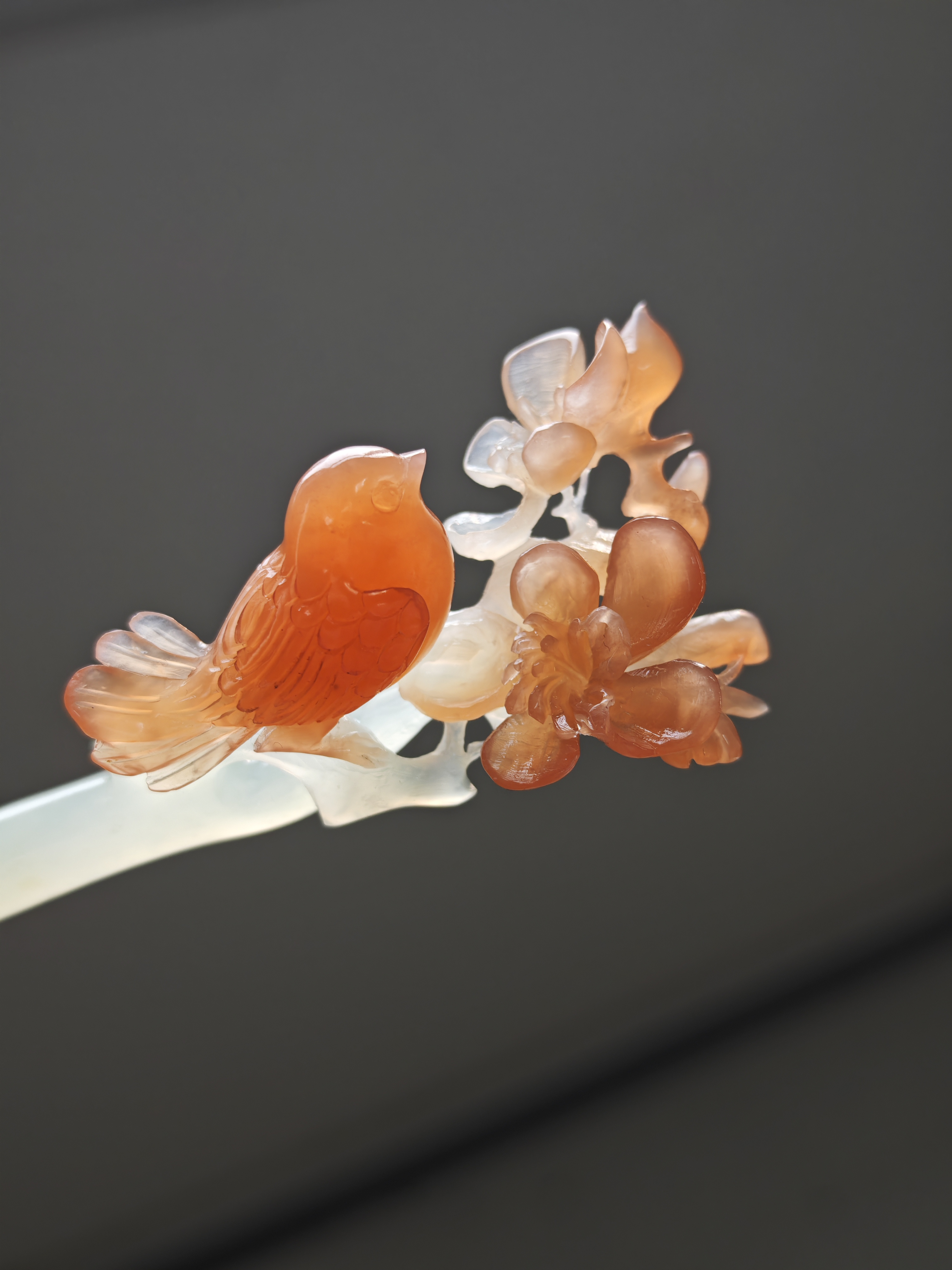 Crimson Finch on Blossom Bough