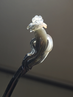 Unfettered Ginseng Bloom