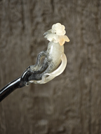 Unfettered Ginseng Bloom