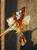 Iris of the Gilded Breeze